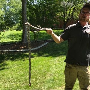 Meet your Posher, David